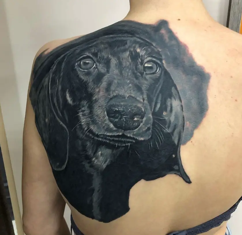 realistic face of a black Dachshund large tattoo on the back