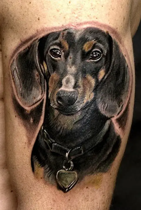 3D Dachshund tattoo on the shoulder