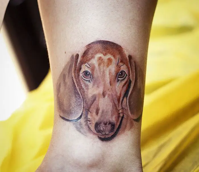 realistic face of a Dachshund tattoo on the ankle
