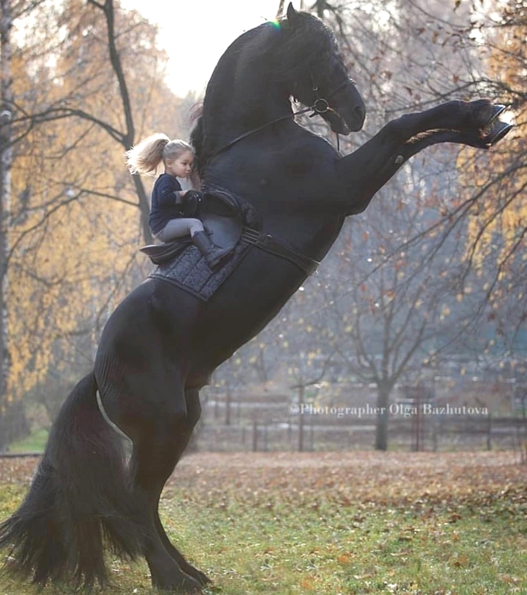 a kid riding a standing up black horse