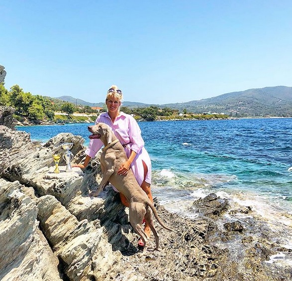 A Weimaraner standing on the rock with a woman behind him