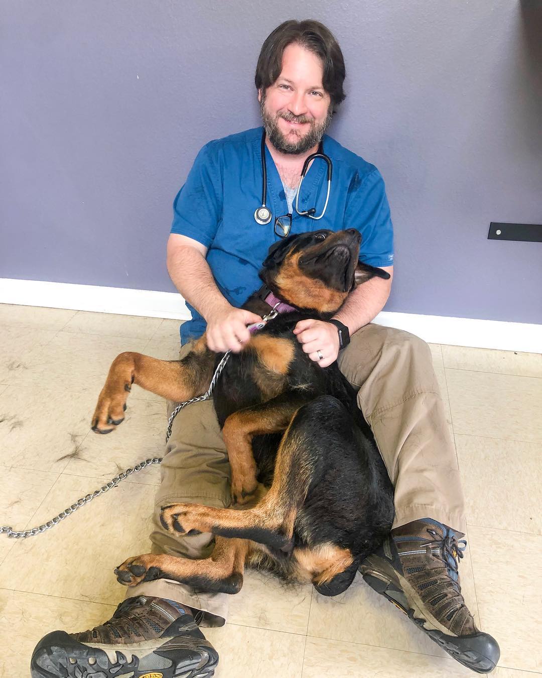 Vet siting on the floor petting a Rottweiler lying in between his legs