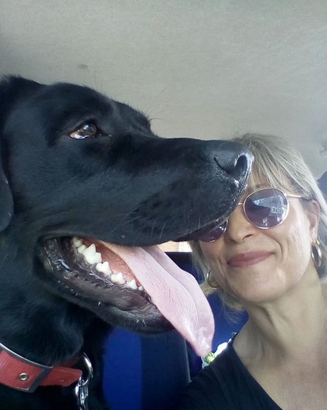 a woman inside the taking a selfie with her Labrador