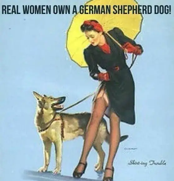 animated girl walking a German Shepherd dog with a text 