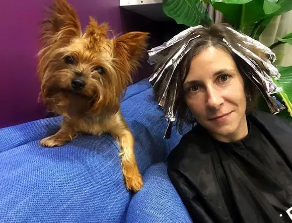 A woman doing her hair in the salon sitting on the couch with a Yorkshire Terrier next to her