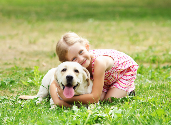 a little girl hugging a Labrador lying on the grass while smiling