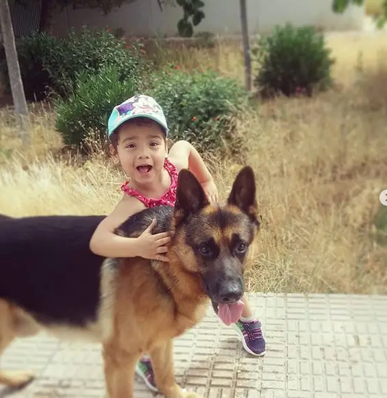 A German Shepherd standing on the pavement with a kid embracing him