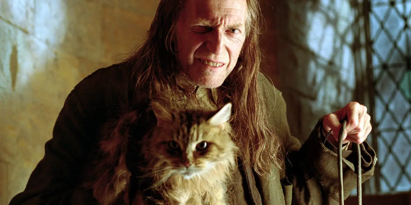Maine Coon Cat with a man in the Harry Potter movie