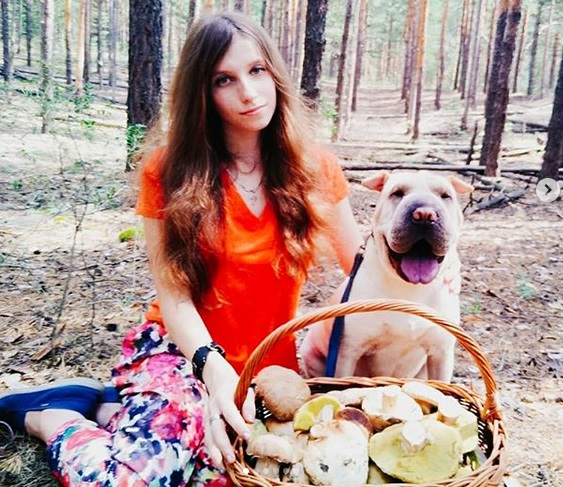 A Shar Pei sitting on the ground next to a woman with a basket filled with harvested mushroom