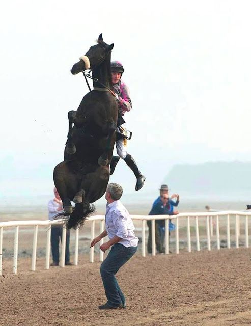 A jumping Horse with its rider almost falling and with people watching them