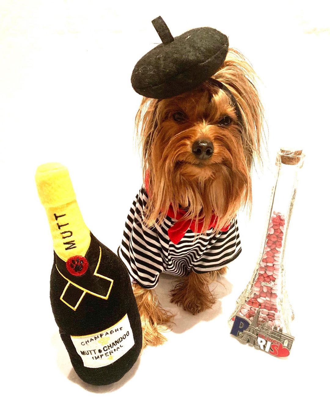 A Yorkshire Terrier wearing french outfit behind a wine stuffed toy and glass bottle and paris keychain