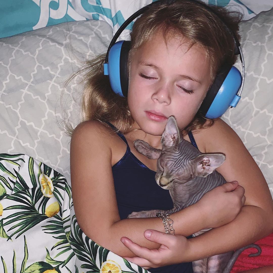 Sphynx Cat lying on the bed on top of a kid