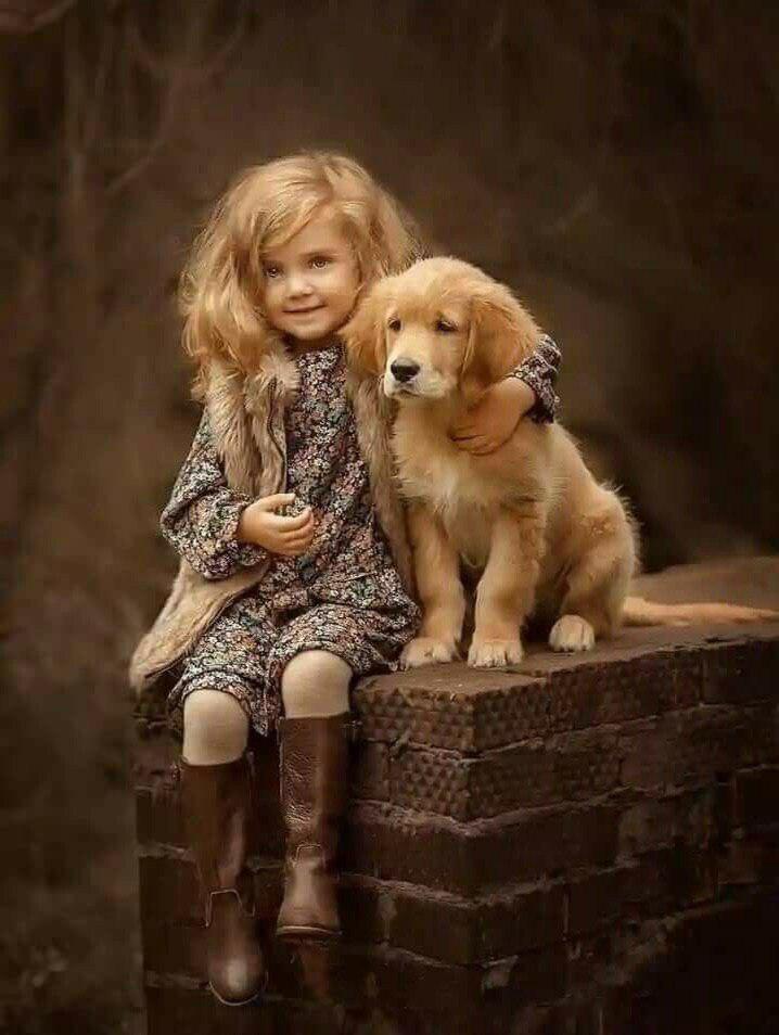 yellow Labrador puppy sitting on the brick bench next to a young girl