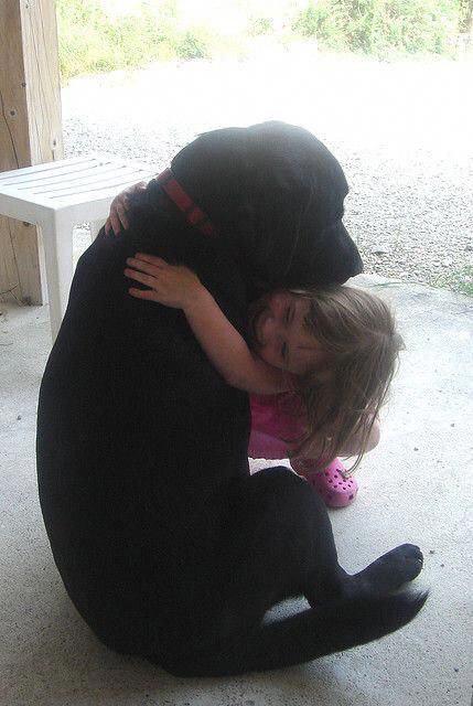 Labrador sitting on the floor while being hugged by a baby girl