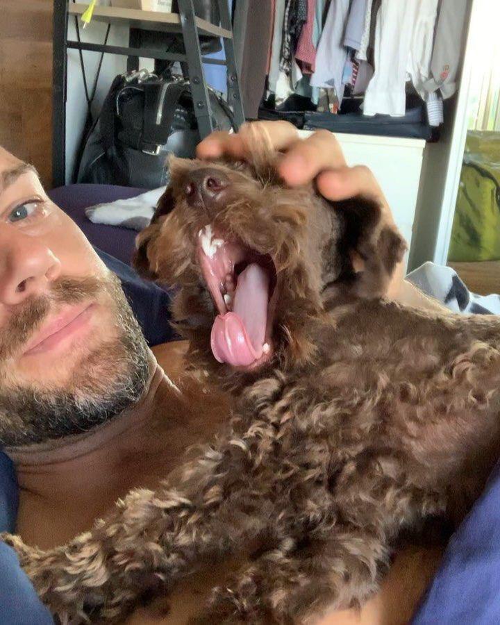 a man taking a selfie while his Schnoodle is on his chest yawning