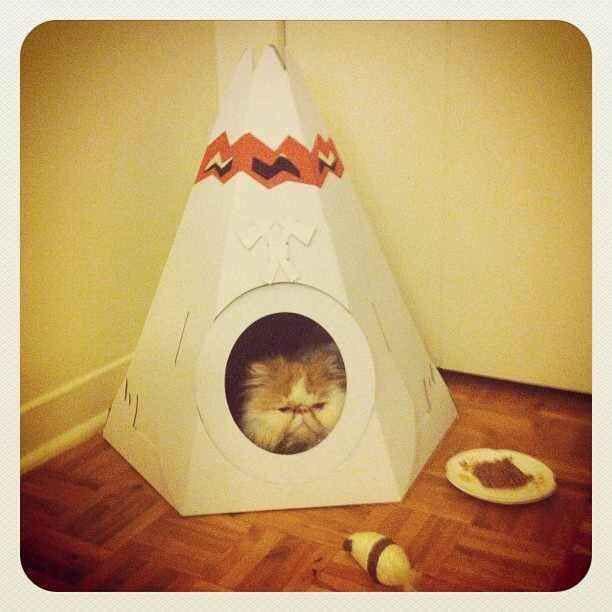 Persian Cat inside its boho style cat house