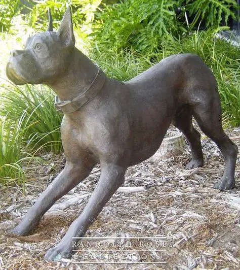 Boxer Dog statue in the garden