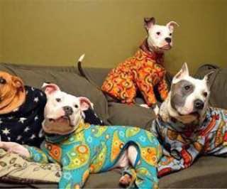 four Pit Bull in their cute pajamas while resting on the couch
