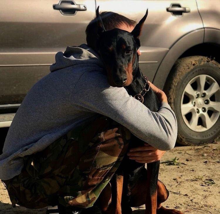 A man hugging a Doberman sitting on the ground