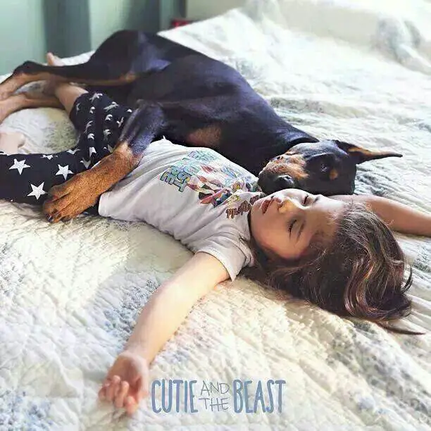 A Doberman sleeping on the bed while hugging the sleeping little girl