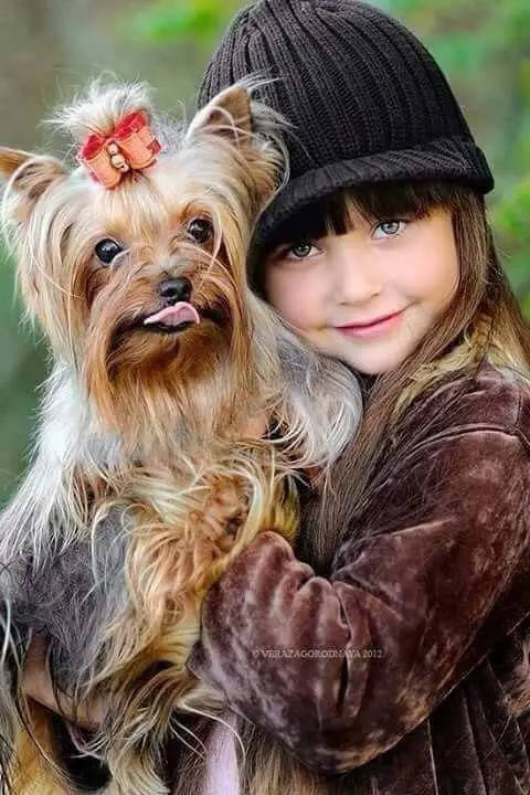 a girl carrying a Yorkshire Terrier dog