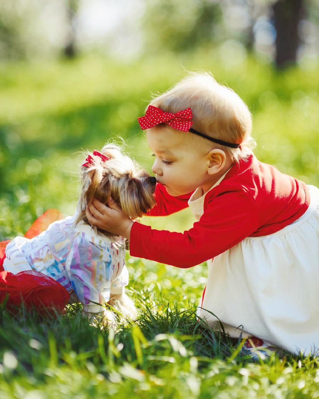 A Yorkshire Terrier wearing a cute dress while sitting on the grass and being kissed by a toddler across her