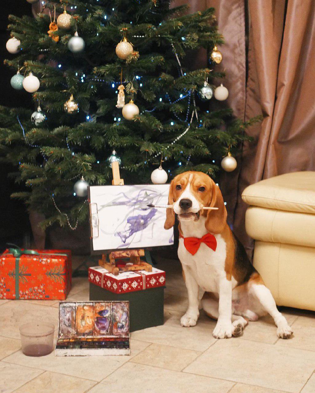 Beagle with a paintbrush in its mouth while sitting on the floor in front of a christmas tree and its painted canvas
