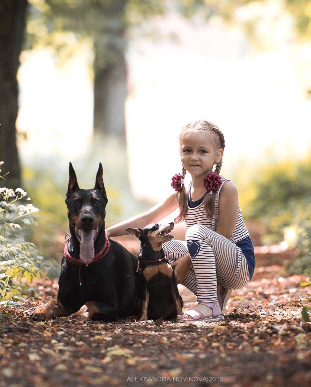 an adult and puppy Dobermans lying on the ground next to a girl in the forest