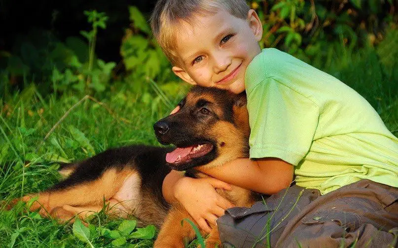 a kid sitting on the green grass hugging a German Shepherd puppy