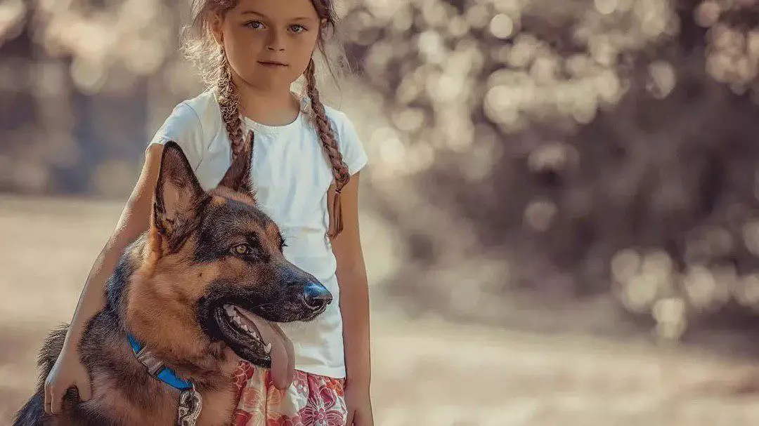 a girl with a German Shepherd