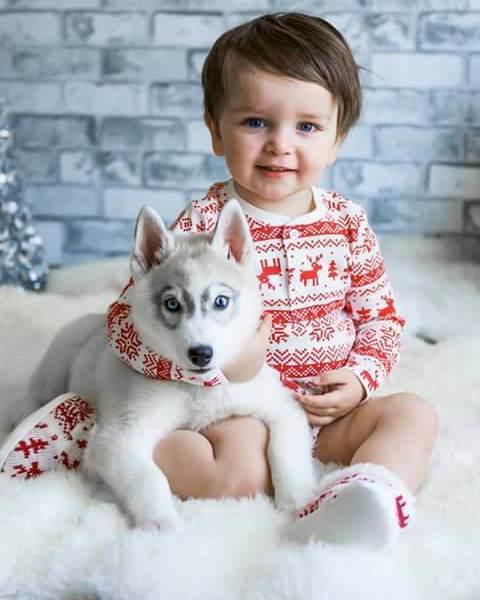 a toddler with a Siberian Husky puppy on its lap