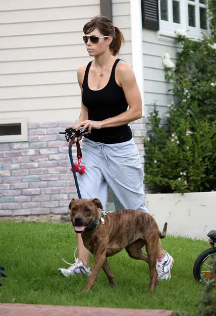 Jessica Biel walking in the front yard with her pitbull