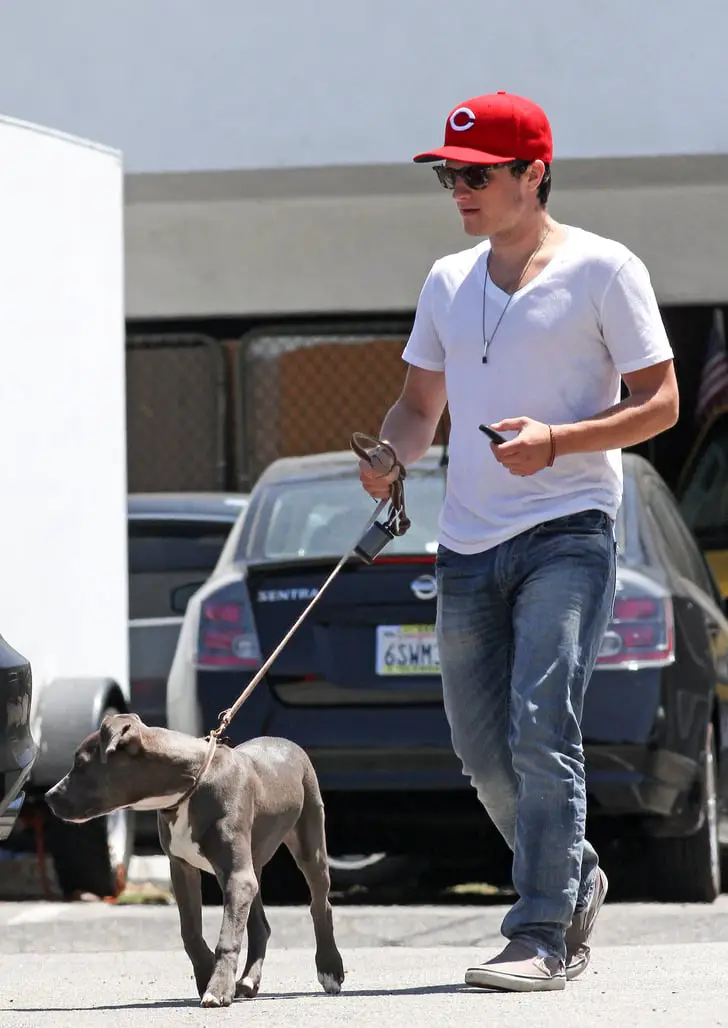 Josh Hutcherson walking in the parking lot with his pitbull on a leash
