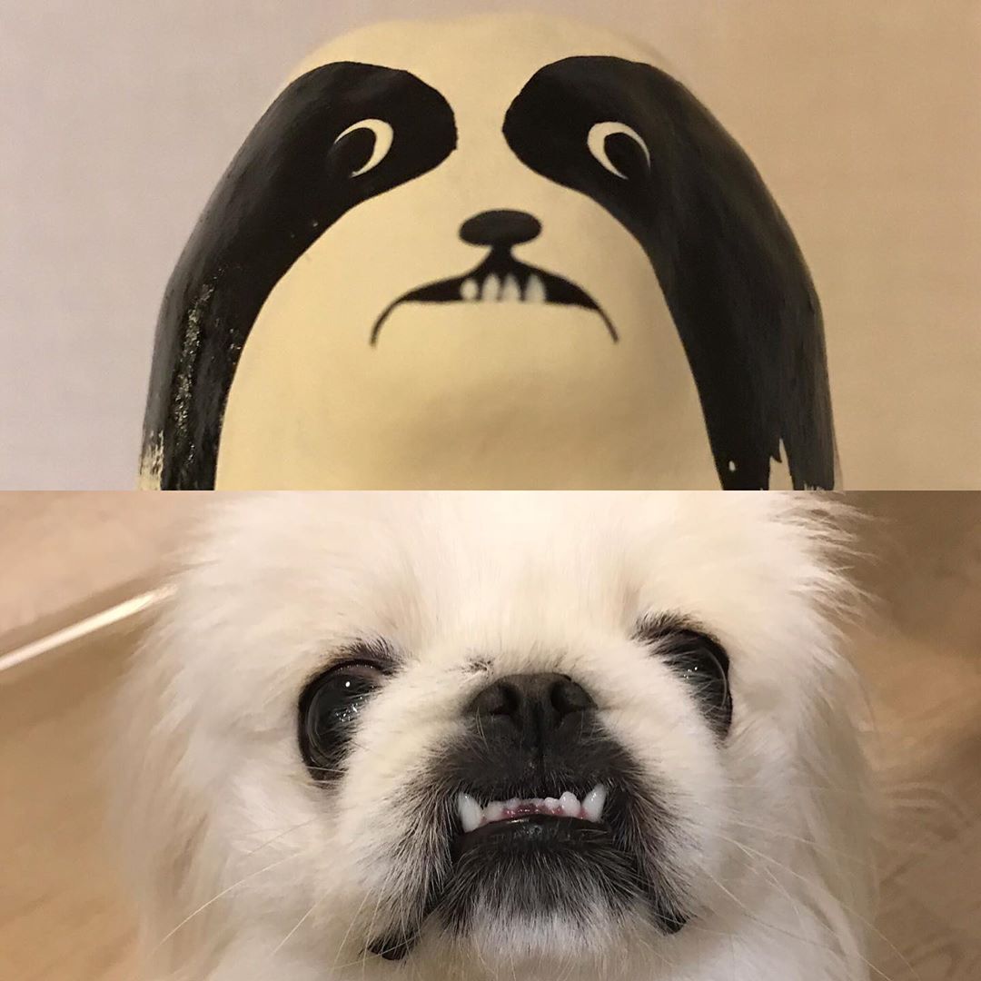 a funny cartoon character and face of a Pekingese