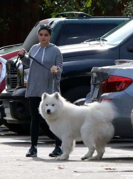 Ariel Winter in the parking lot with her Samoyed Dog