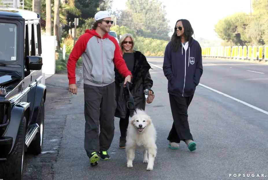 Bradley Cooper walking in the street with his Samoyed dog