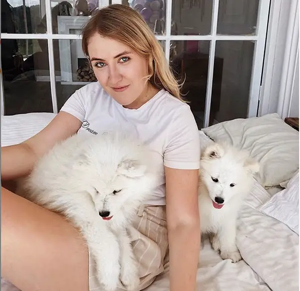 A woman sitting on the bed with her two Samoyed puppies
