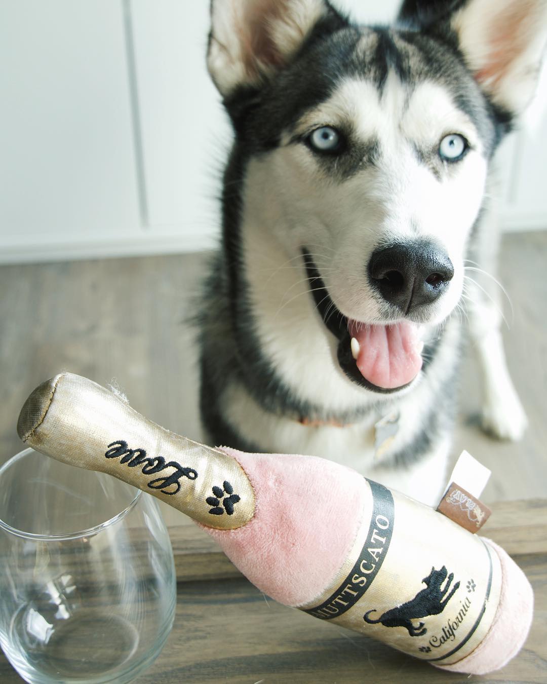 A Husky standing on the floor behind the bottle of wine and a glass on top of the table