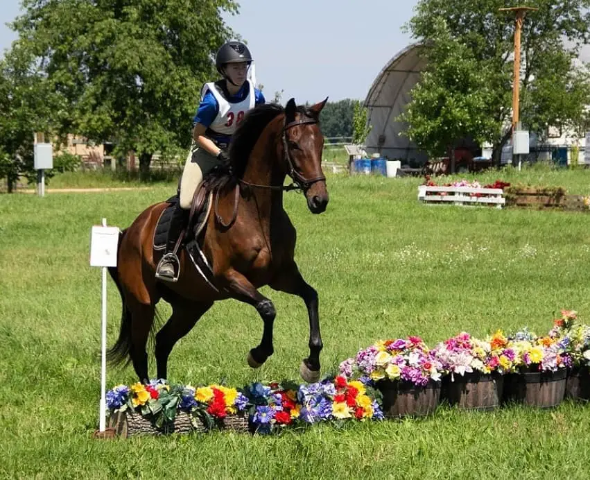 a person riding a Horse jumping over the flowers in a basket