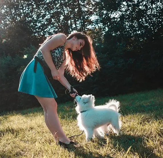 A woman playing with her Samoyed puppy at the park