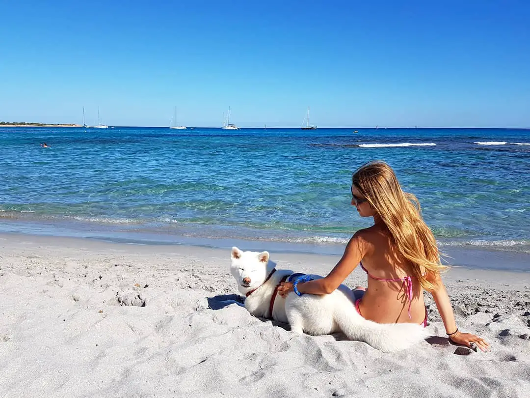 A woman sitting by the seashore while petting her Akita Inu lying next to her