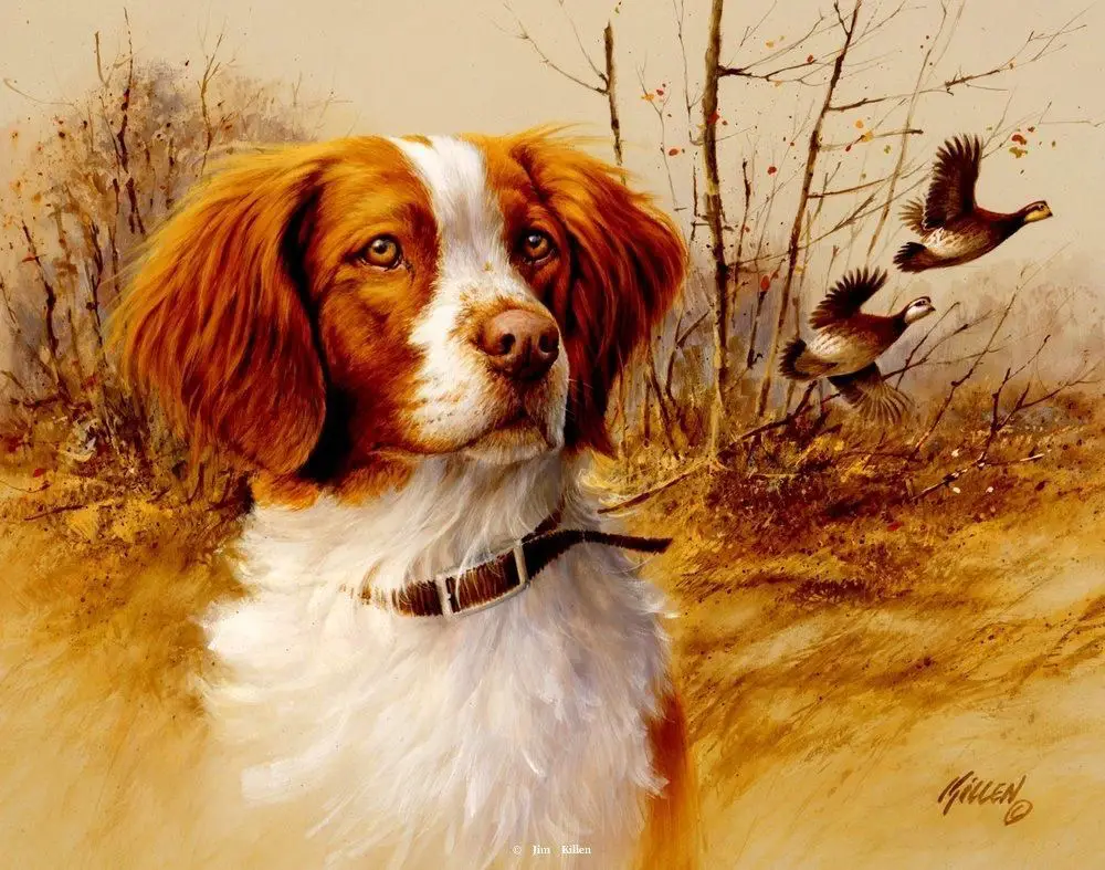 painting of a Brittany in the forest with two birds flying behind him