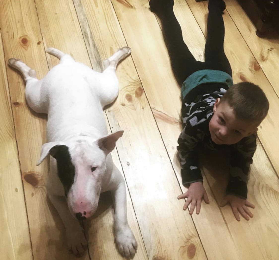 A Bull Terrier and a kid lying on the floor