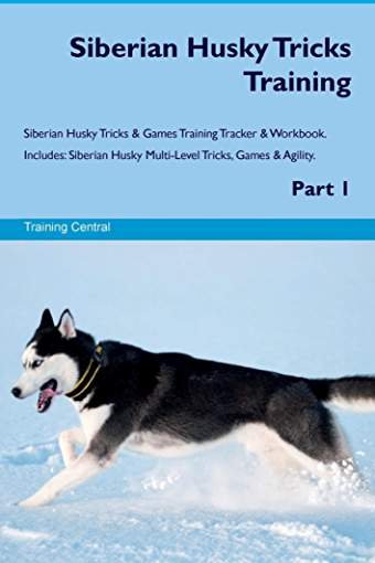 Book cover with Siberian Husky running in snow with title