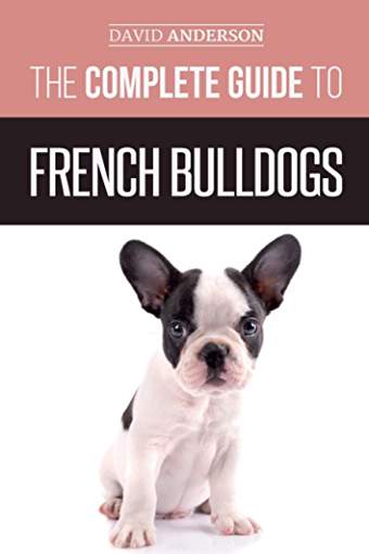 photo of a French Bulldog puppy and with title - The complete guide to French Bulldogs