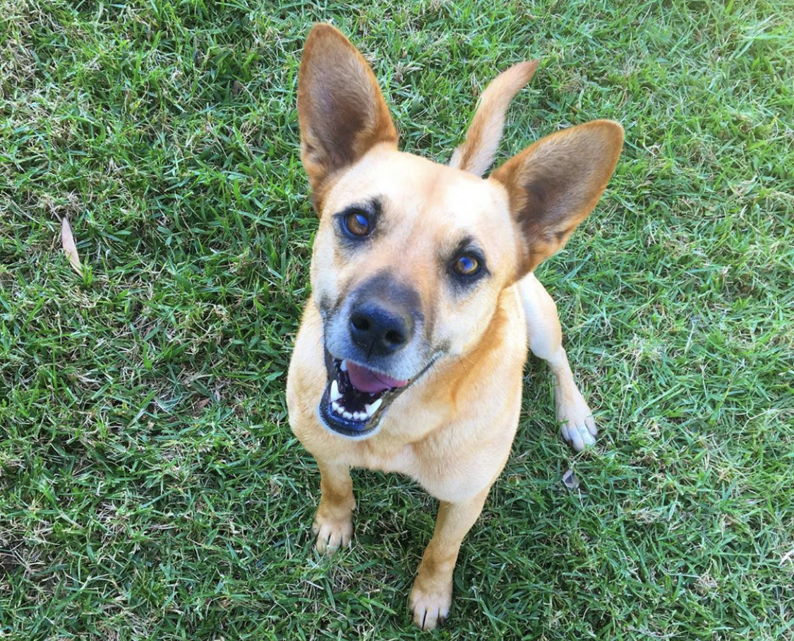 Rott Russell smiling while sitting on the grass