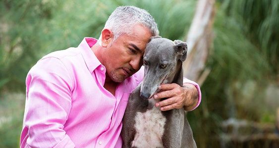 Cesar Millan embracing his Greyhound