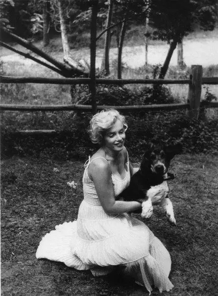 Marilyn Monroe sitting in the backyard while carrying a Basset Hound