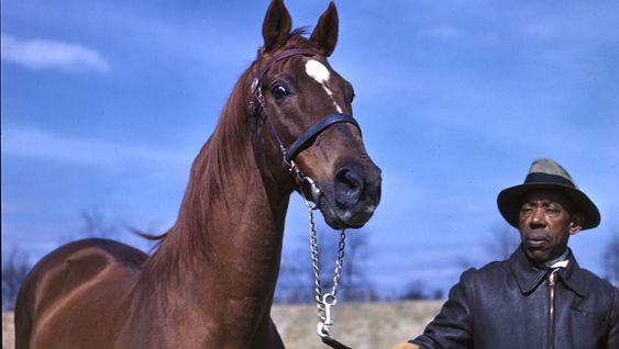 a man walking his horse named Man o`War