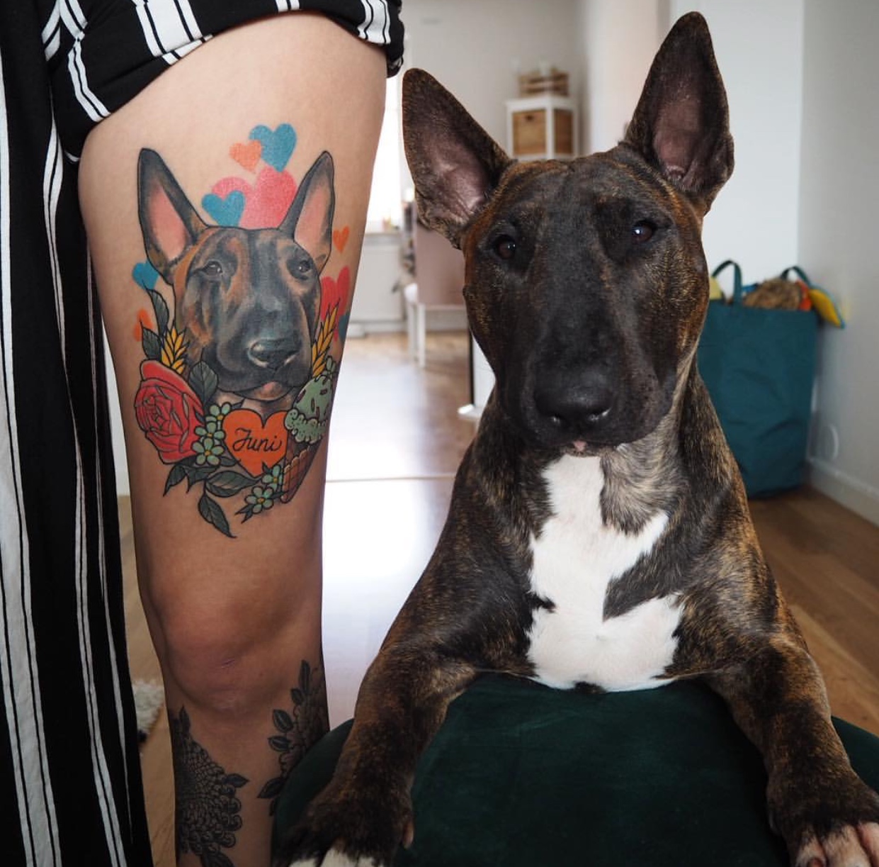 realistic face of Bull Terrier with bright colors of hearts and flowers tattoo on the thigh